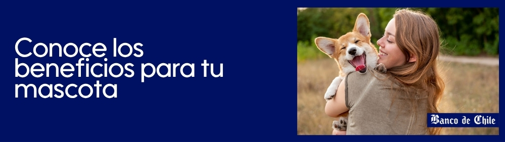 Banner Banco de Chile